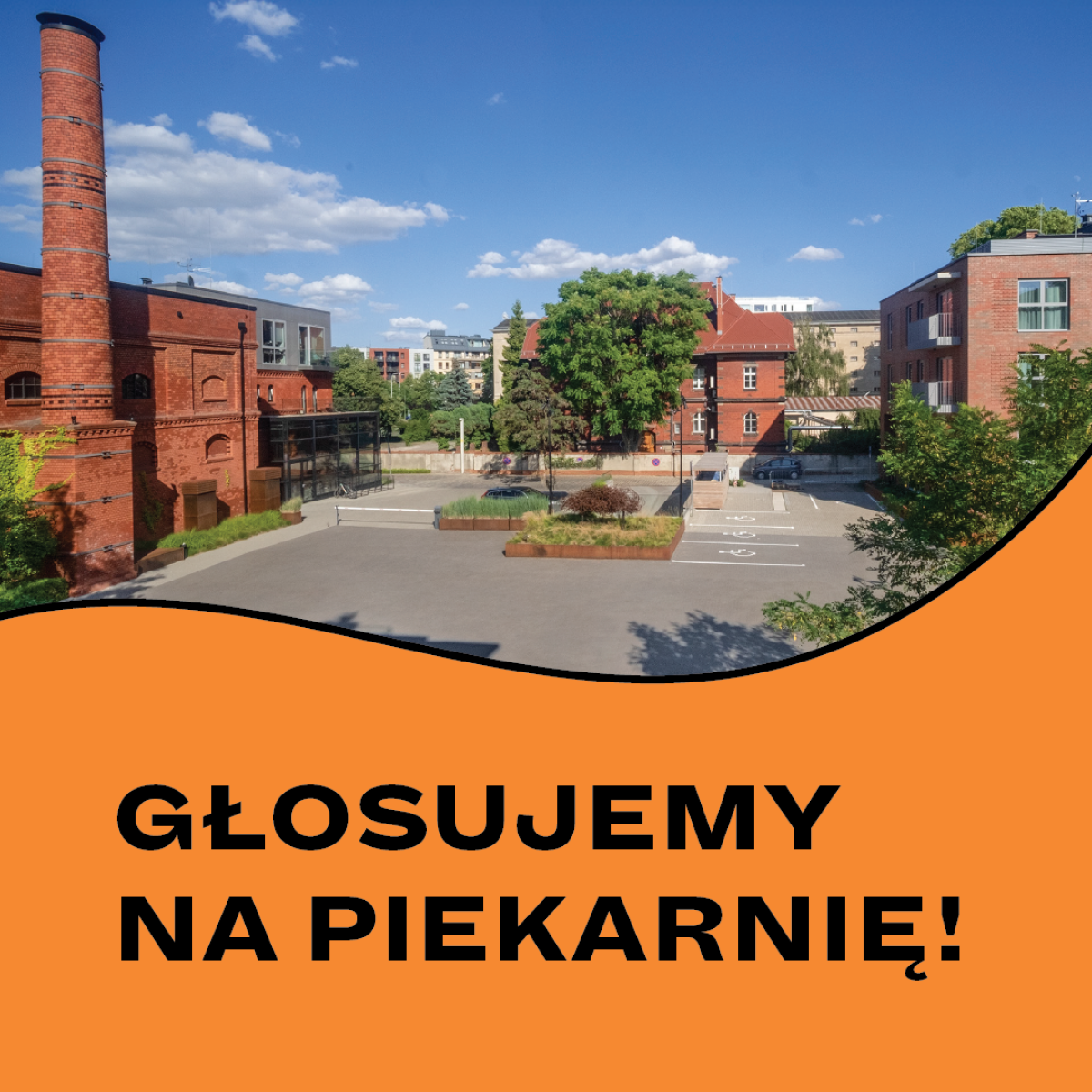 głosowanie_kwadrat_www_głowny
